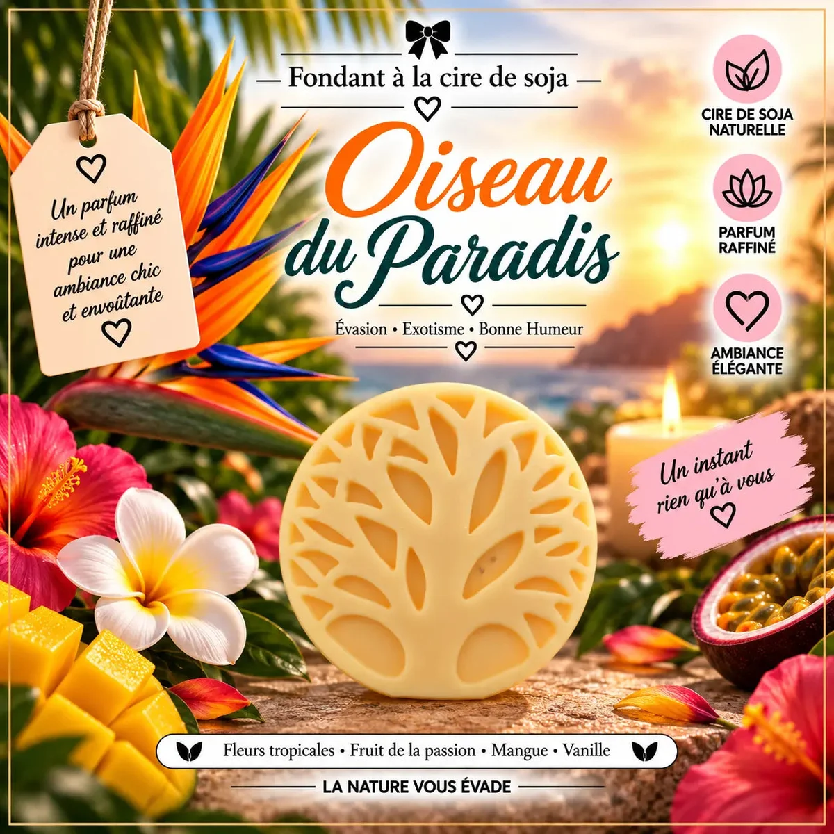 Fondants Parfumés Oiseau du Paradis à la Cire de Soja