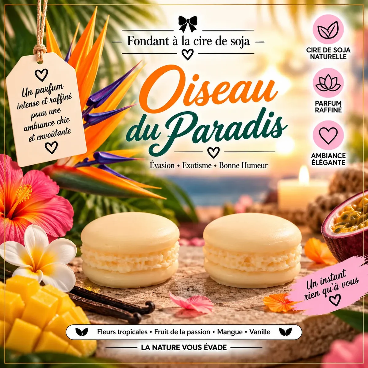 Fondants Parfumés Oiseau du Paradis à la Cire de Soja
