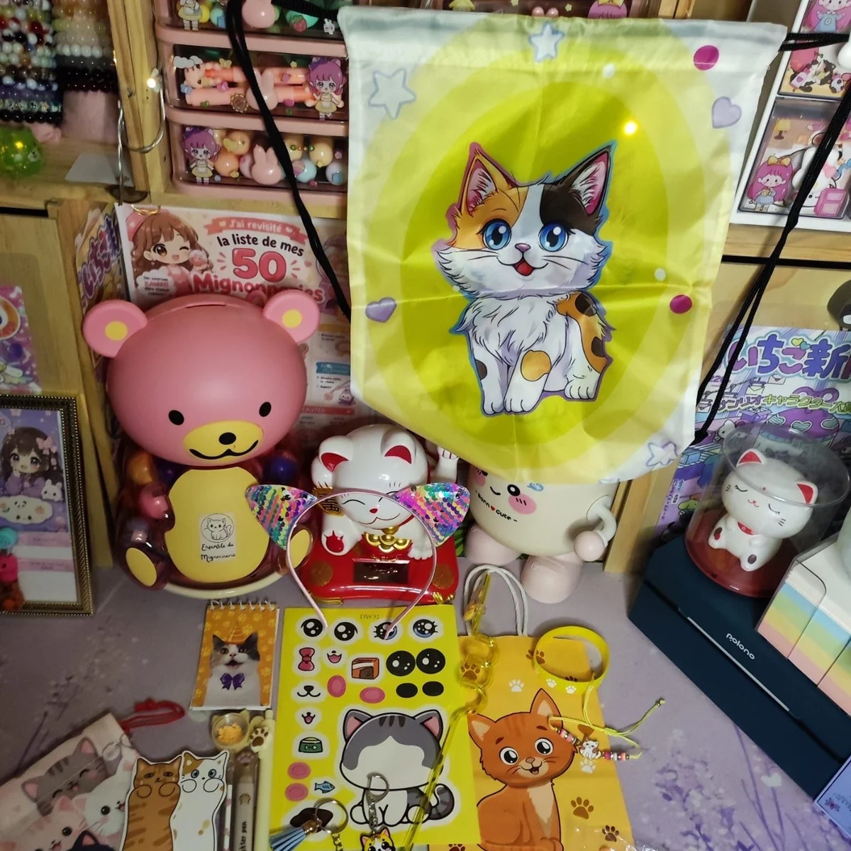 Box petite fille Spécial Chat 22 Articles Kawaii